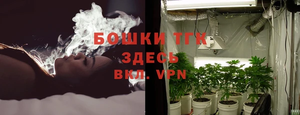индика Медногорск