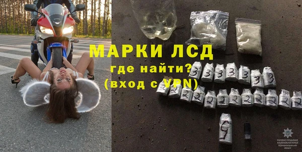 сатива Новокубанск