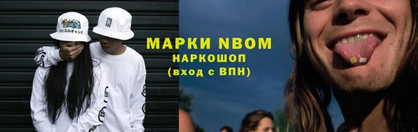 индика Медногорск