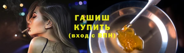 индика Медногорск