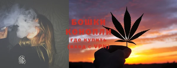 шишки Богородицк