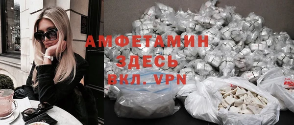 индика Медногорск