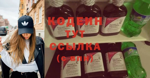индика Медногорск