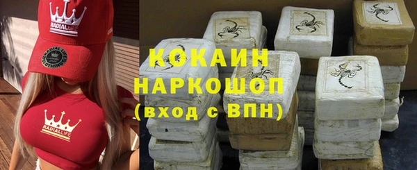 индика Медногорск