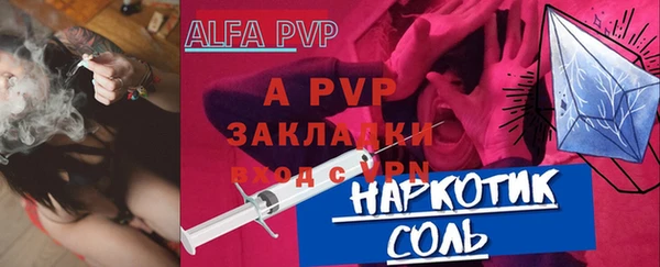 индика Медногорск